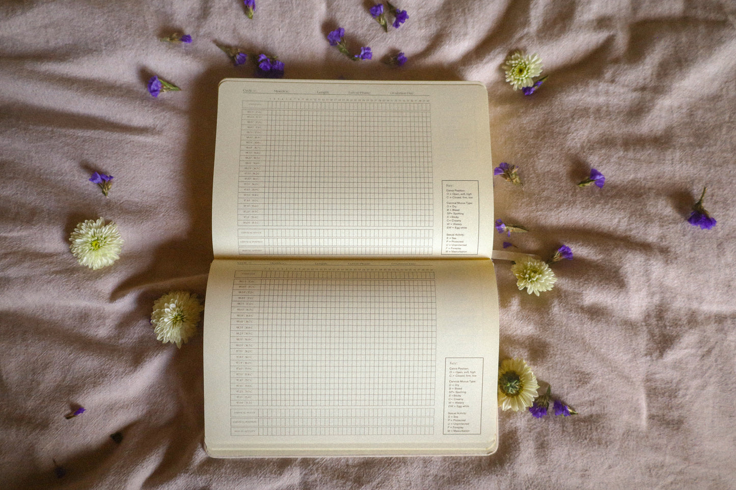 Cycle Journal