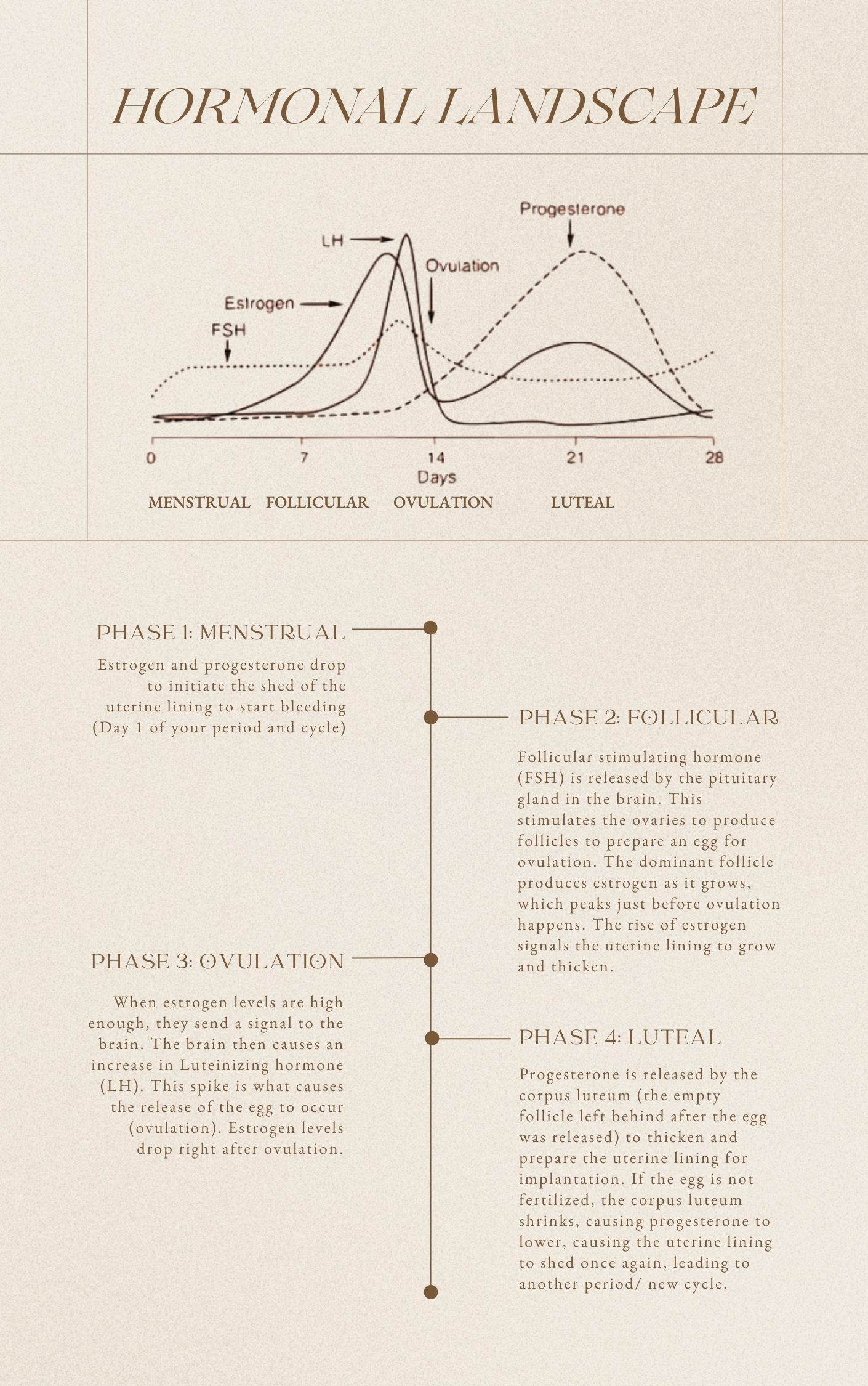 Inner Seasons Cycle Guidebook